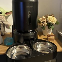 Cat Automatic Feeder With Camera Live