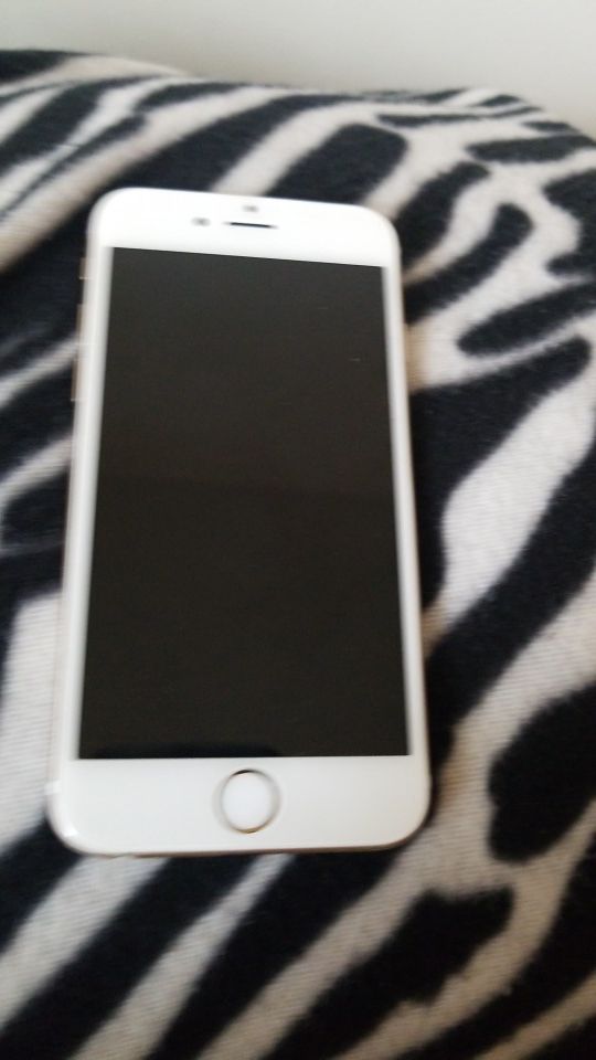 Iphone 6 stuck on apple logo