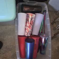 Starbucks Cups