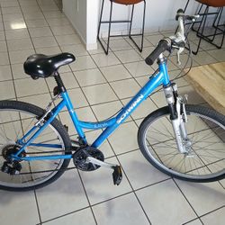 Schwinn 