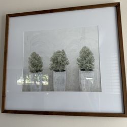 Picture wall art
