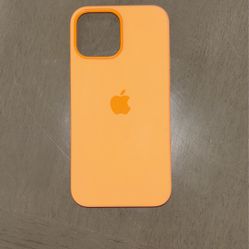 iPhone 13 Pro Max Case 