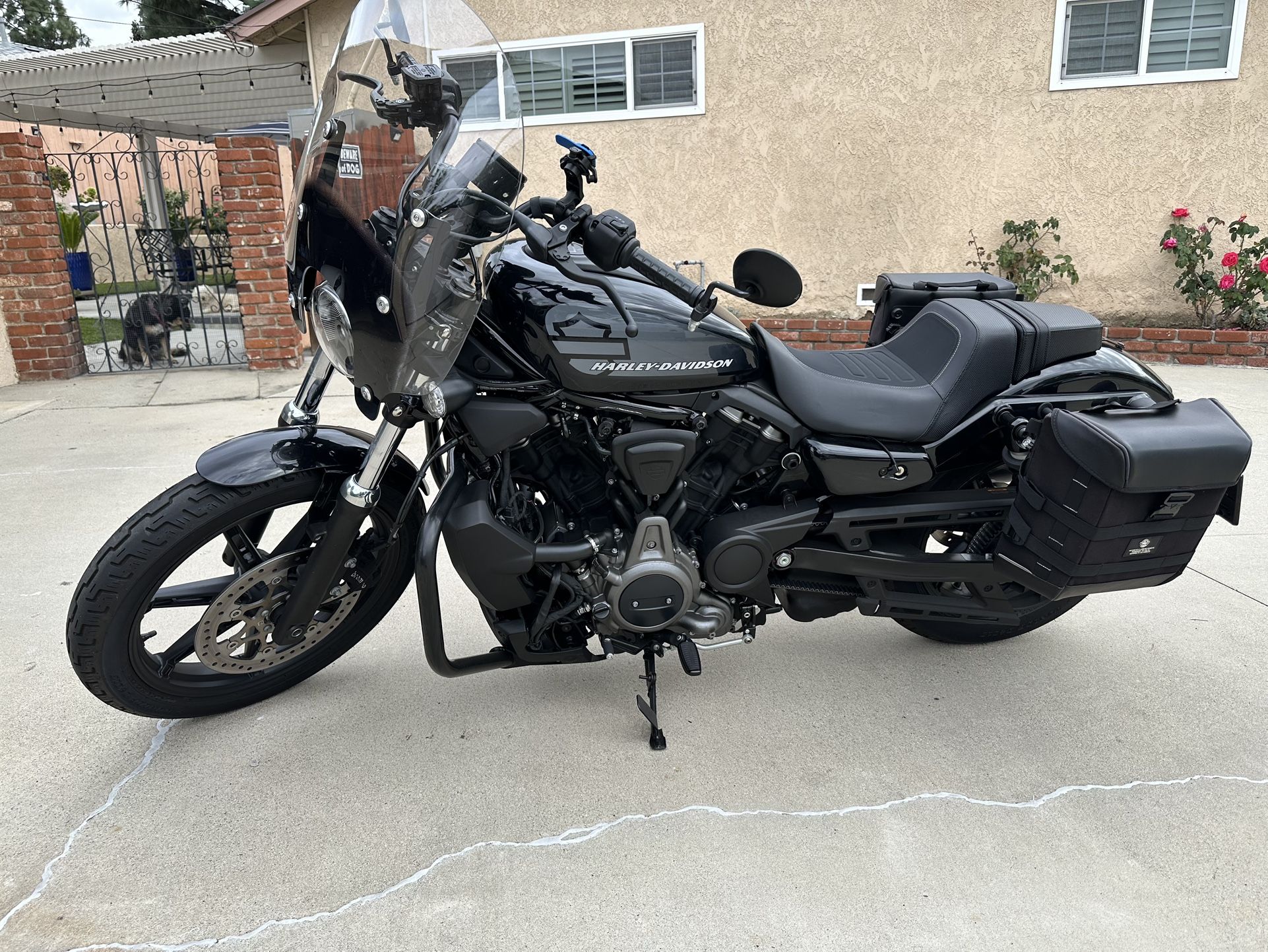 2022 Harley Davidson Nightster