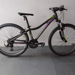 BICYCLE LIV GIANT 21 SPEED SIZE 26 BRAND NEW 