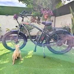 E Lux Tahoe E Bike