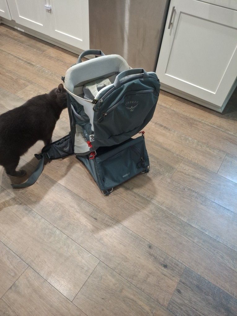 Hiking Kid Carrier Backpack