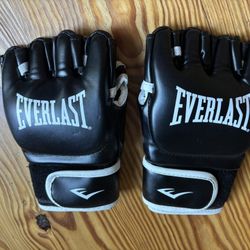 Everlast Boxing Gloves 