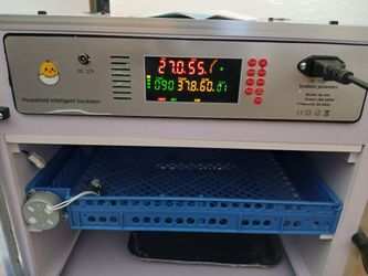 Egg Incubator