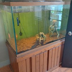 Large 150 Gallon Wide Fish Tank 