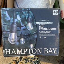 Hampton Bay String lights