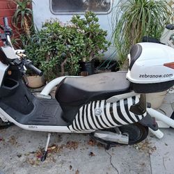 Zebra Electric Bike