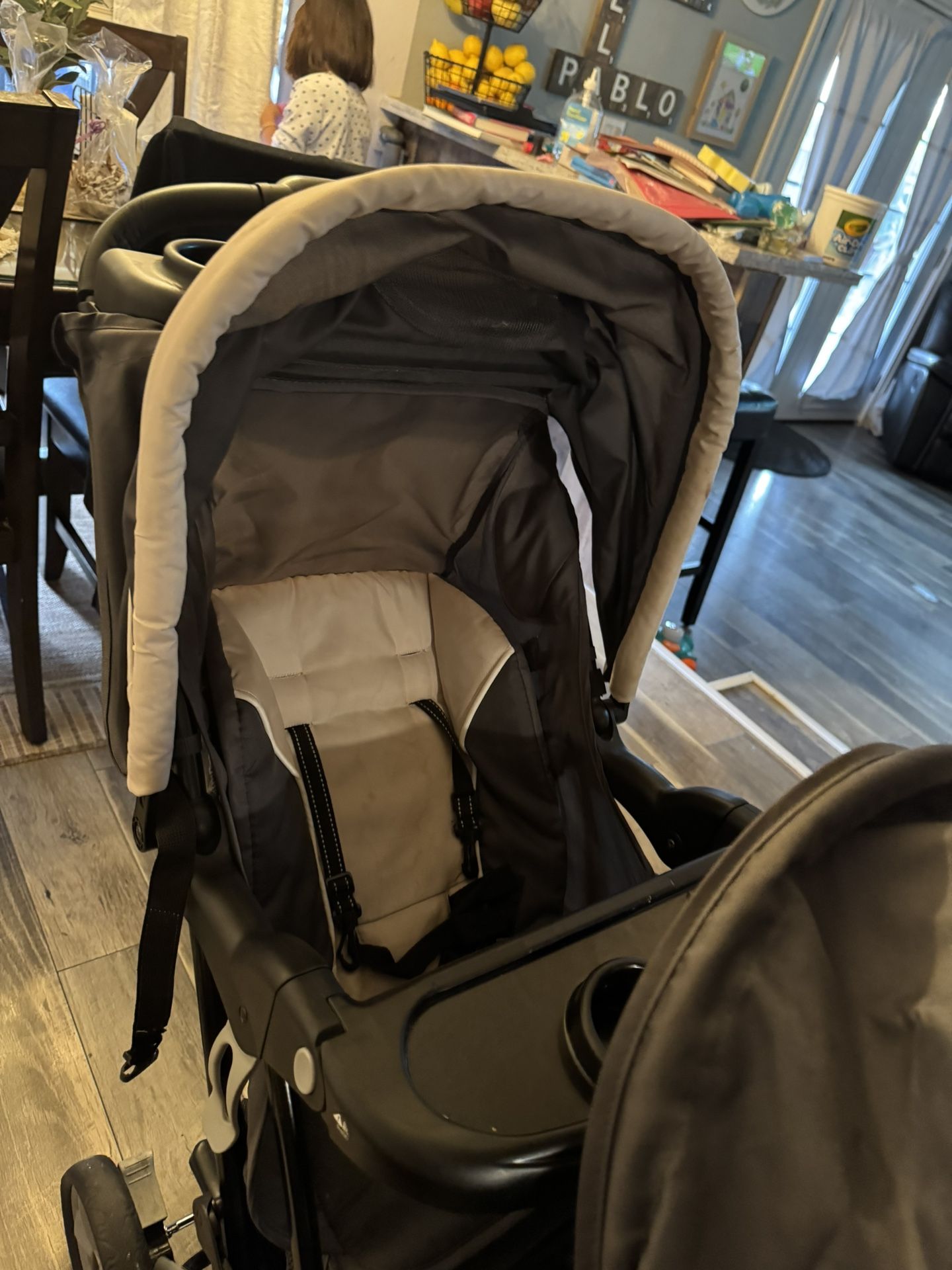 Double Stroller