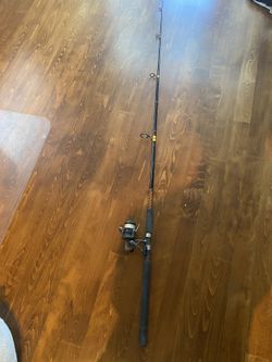 Shakespeare Ugly Stik Saltwater Rod