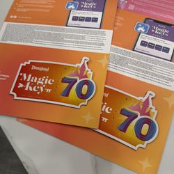 2 Magic Key Pass Magnet Passes Disneyland