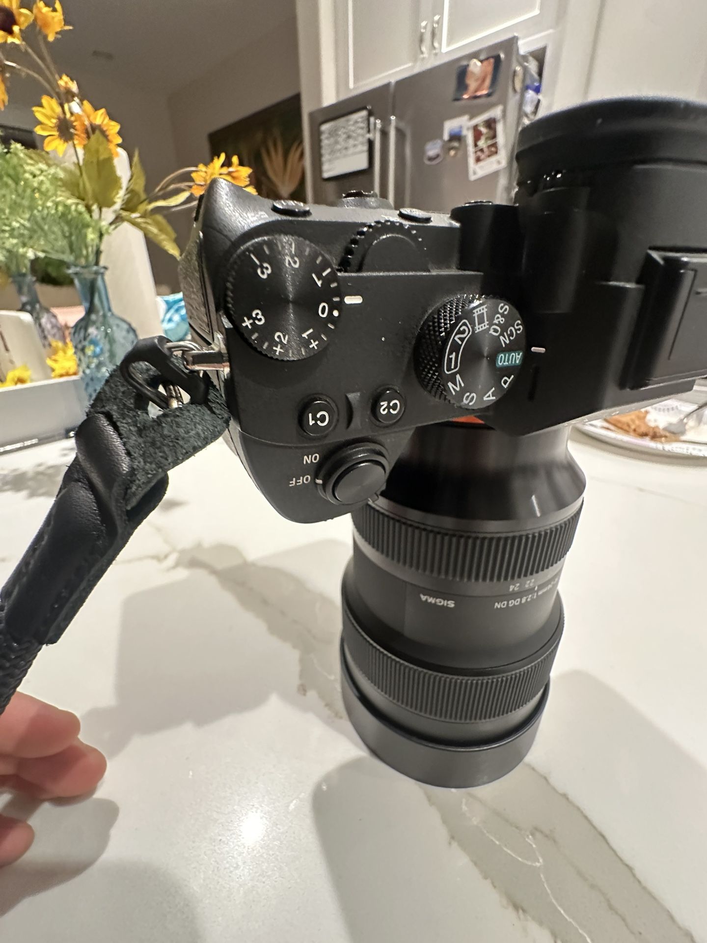 Sony A73