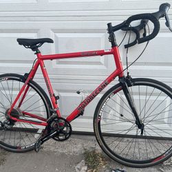Fixie /road Bike 
