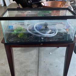 Fish Tank With Accessories Just Needs A Good Cleaning