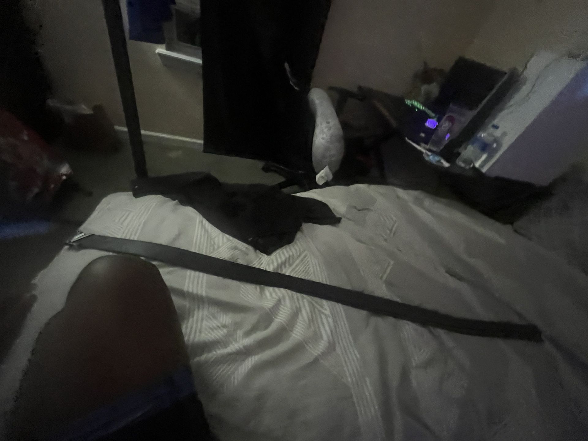 Lv Belt