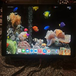 Apple iPad