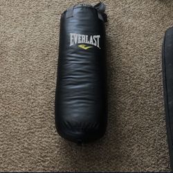 Everlast New Punching Bag 🥊