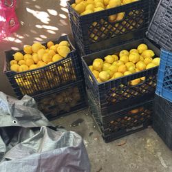 Lemons For Sale