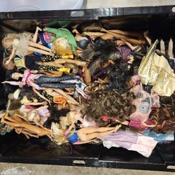Barbie Dolls & Accessories 