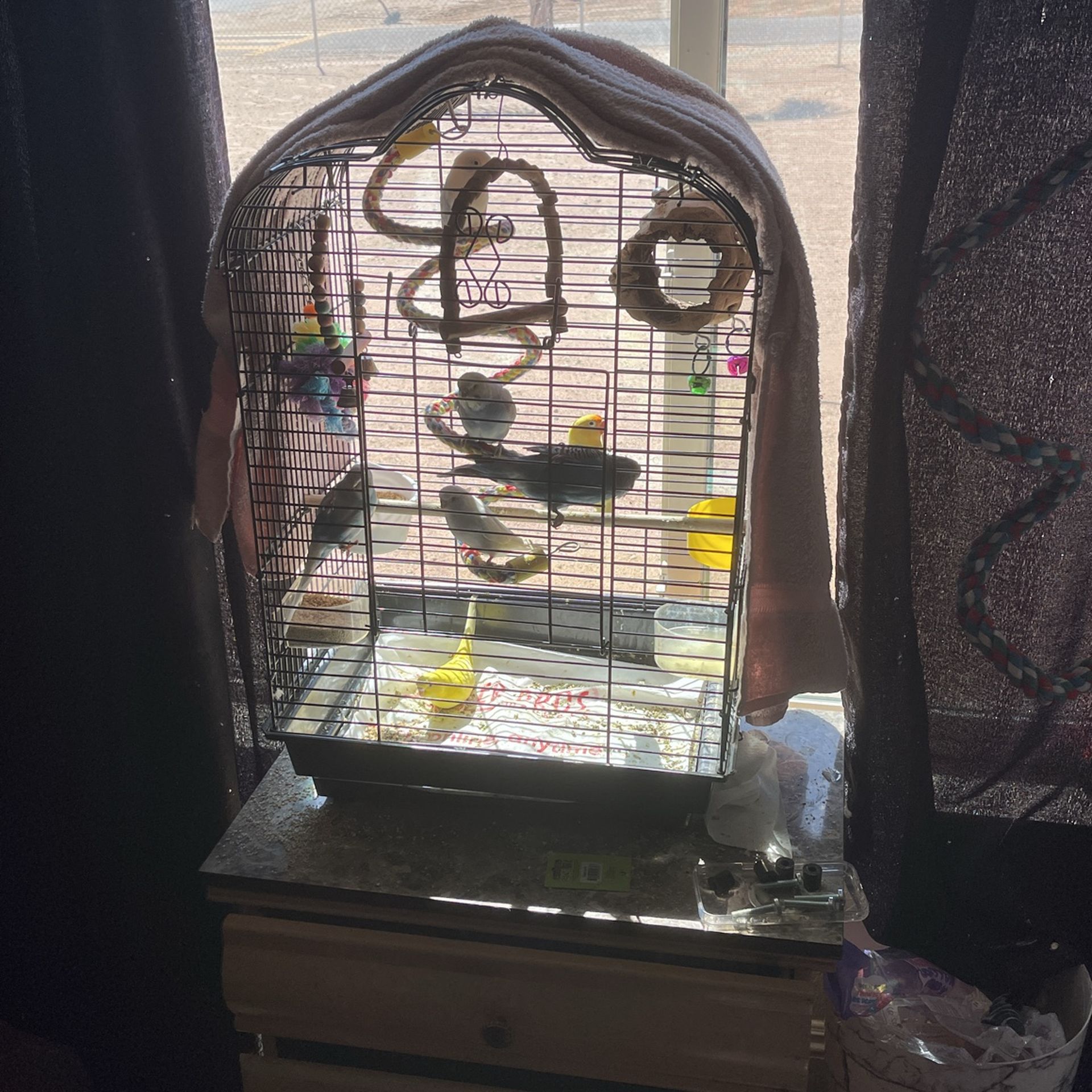 Bird Cage 