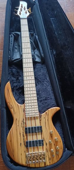 Bassmods nt5 bass