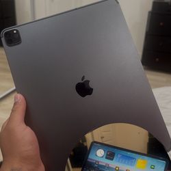 iPad Pro 12.9 4th Gen 256gb Unlocked 