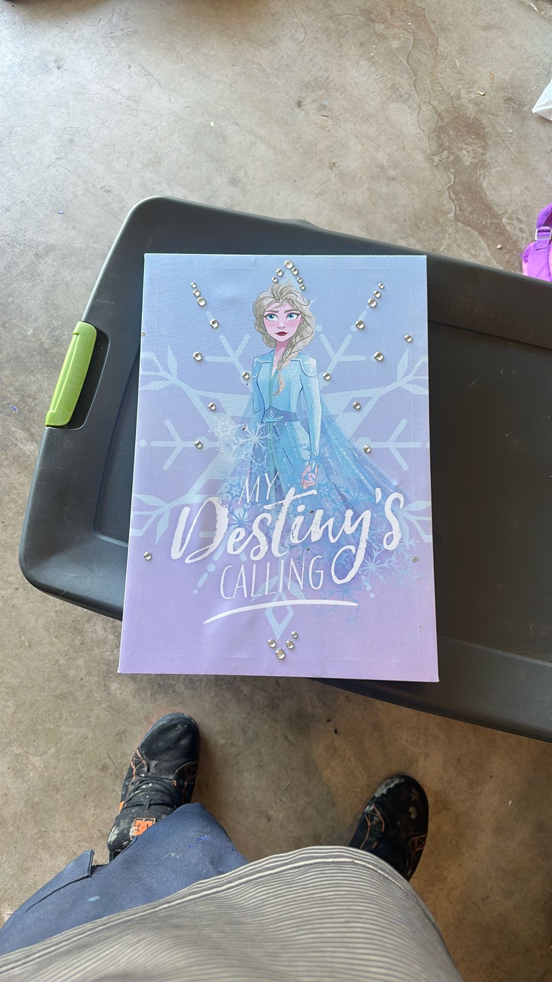 Frozen decor