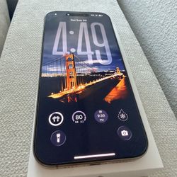 iPhone 16 Pro Max 256 GB MINT CONDITION