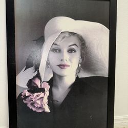 Marilyn Monroe Picture $25