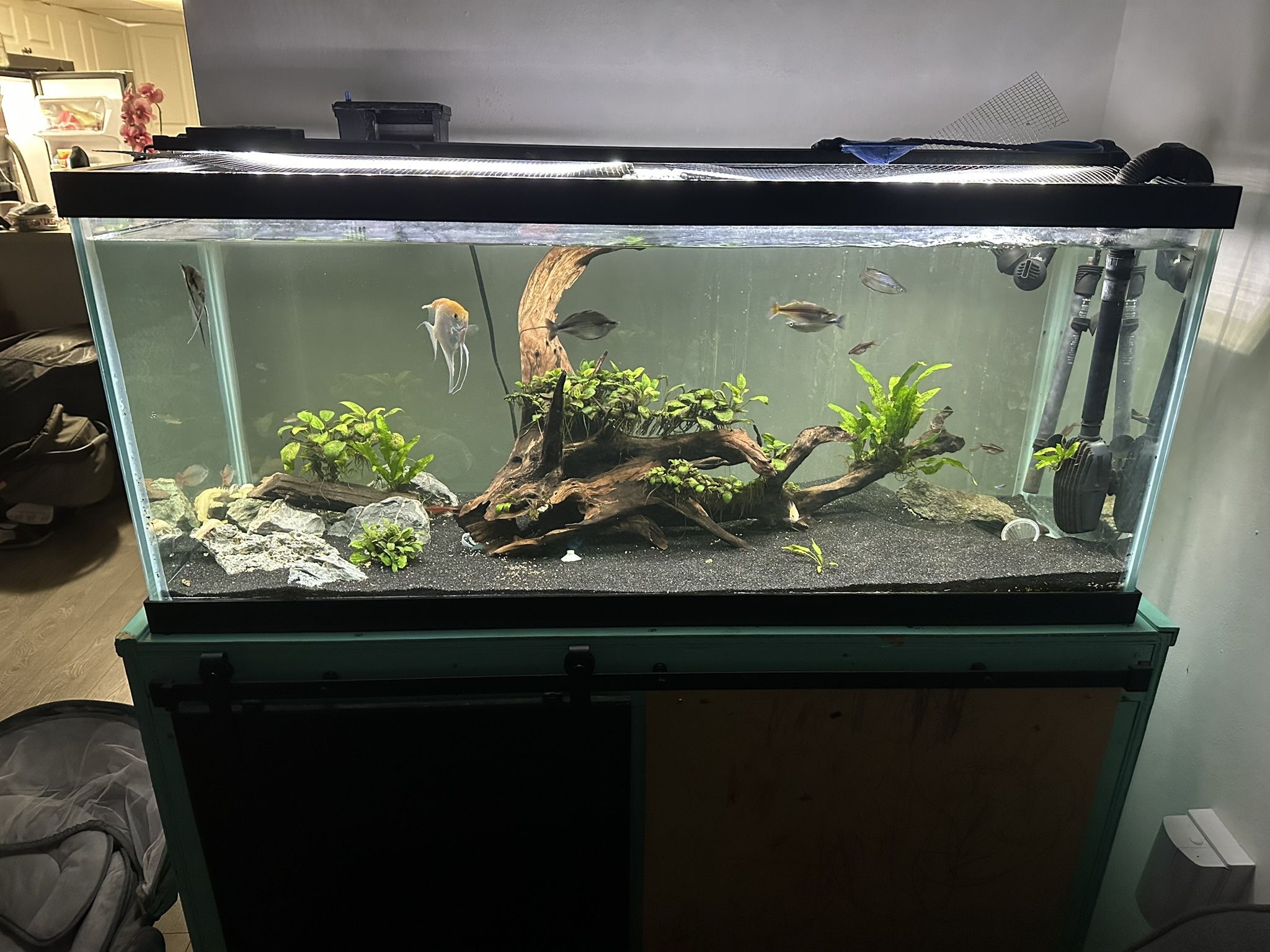 75 Gallons  Fish Tank (tanque De 75 Galones)