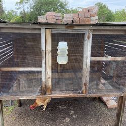Chicken Coop/Jaula De Gallina