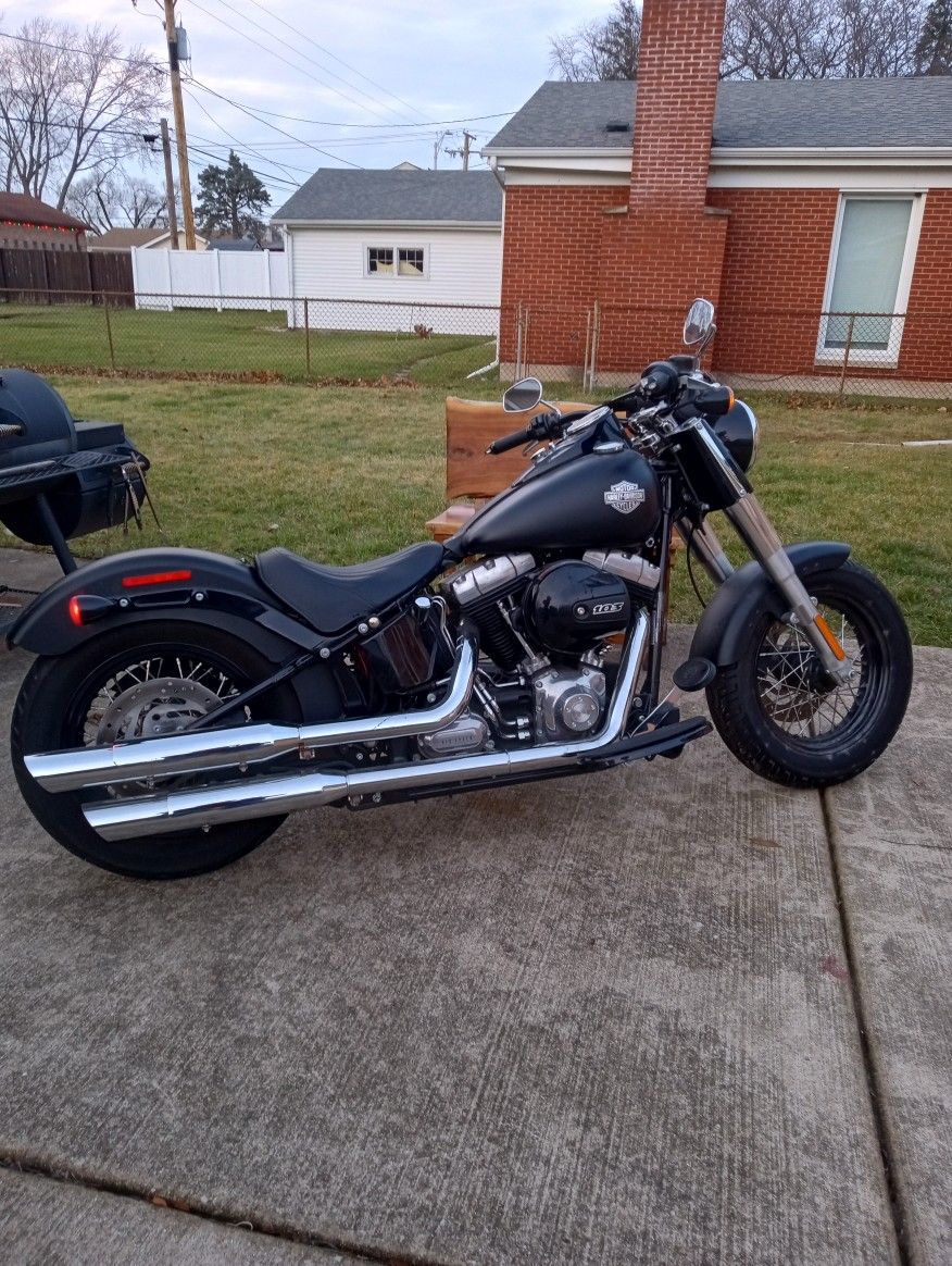 2017 Harley-Davidson Softail slim