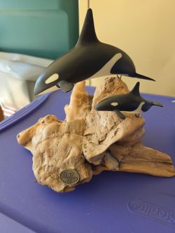 John Perry Orca