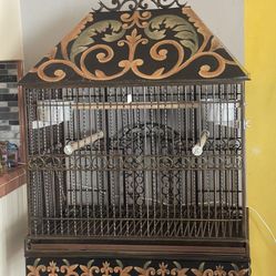 Bird Cage , Iron