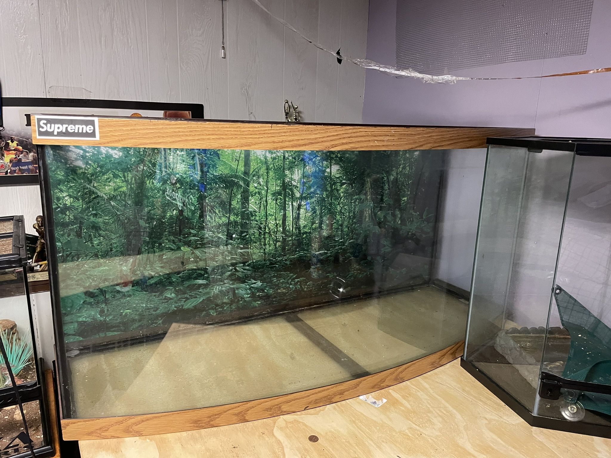 75 Gallon Bow Fish Tank