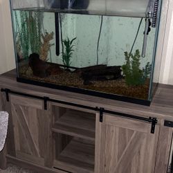 Fish Tank And Stand