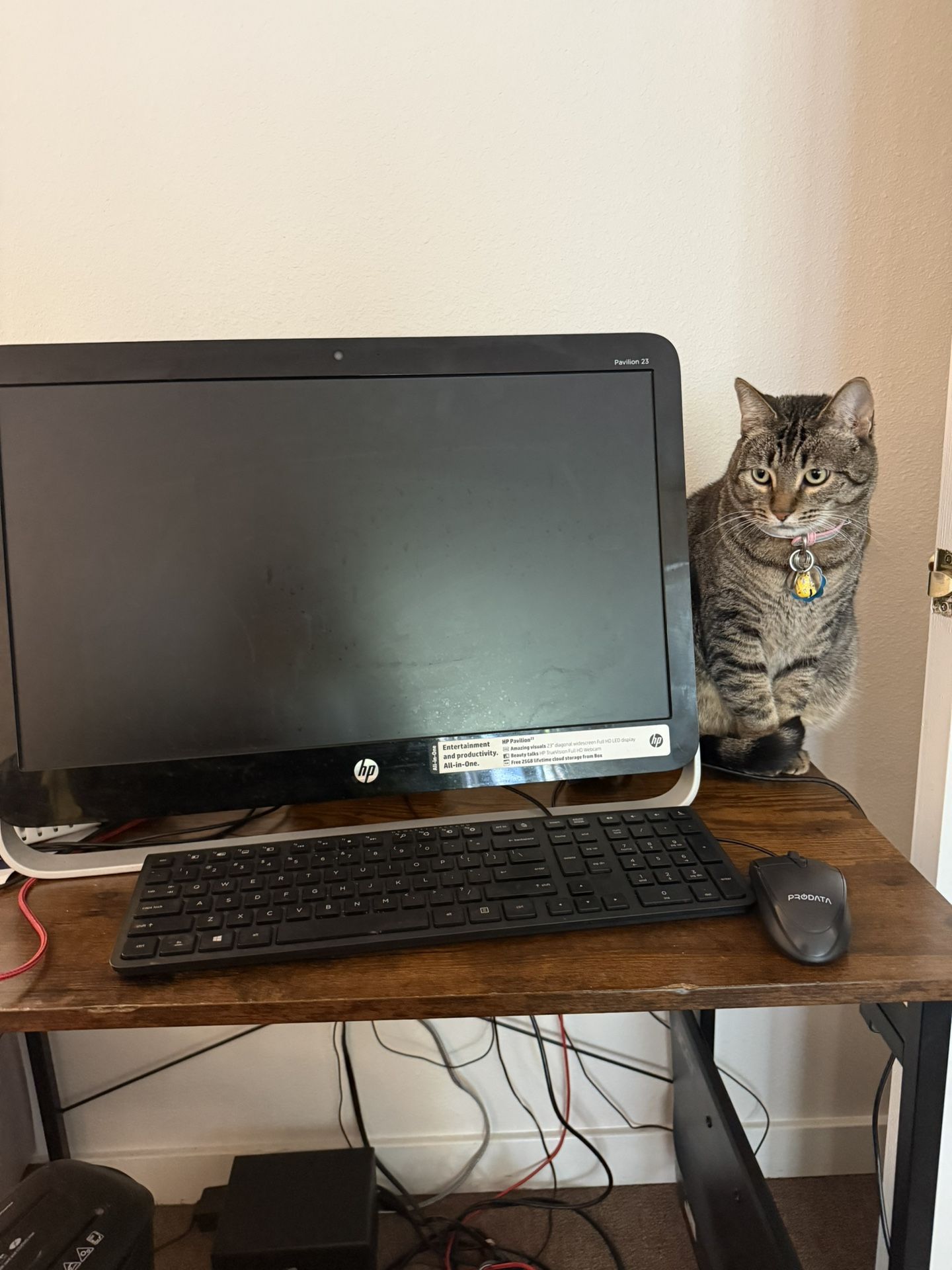 HP Pavilion 23-g010 All-in-One Desktop PC