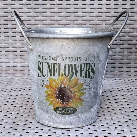 5"H x 5"W metal round cone shaped tin flower pot succulent planter with plastic liner & ear handles