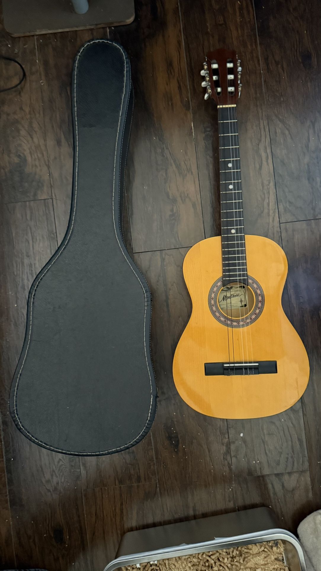 Acoustic Guitar (with Case)