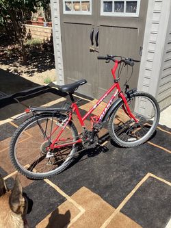 -Vintage 1990’s Rincon Giant Womens 26 Inches Bicycle Cruiser-