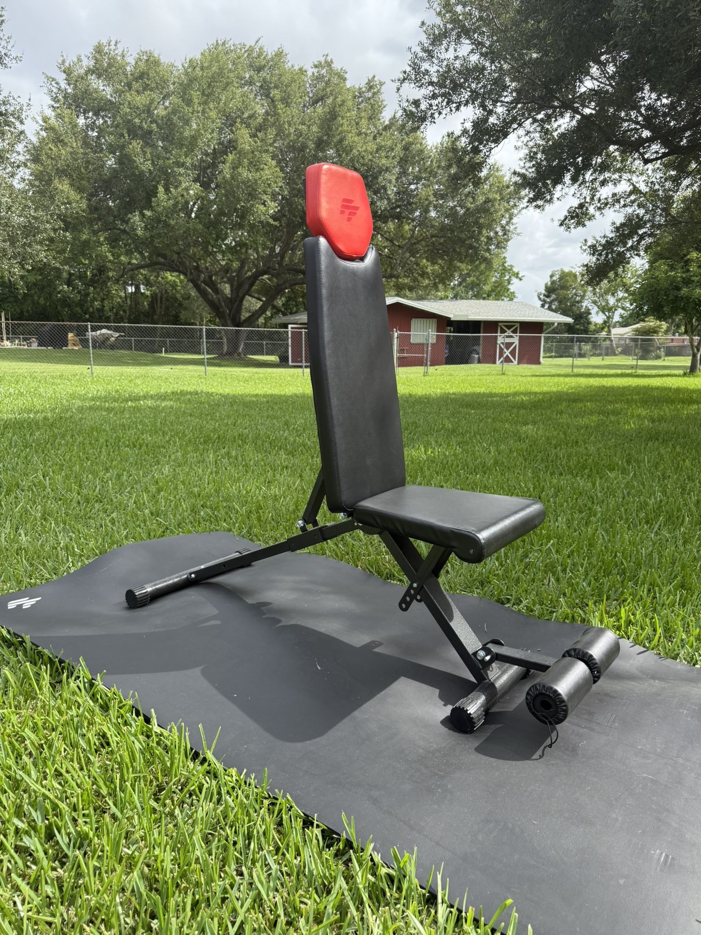 Fully Adjustable Workout Bench
