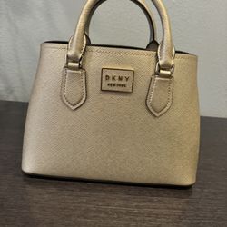 DKNY New York Purse