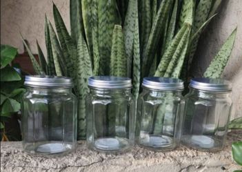 Elegant 4-Pack 16 oz Clear Glass Mason Jars with Silver Lids for Food Storage