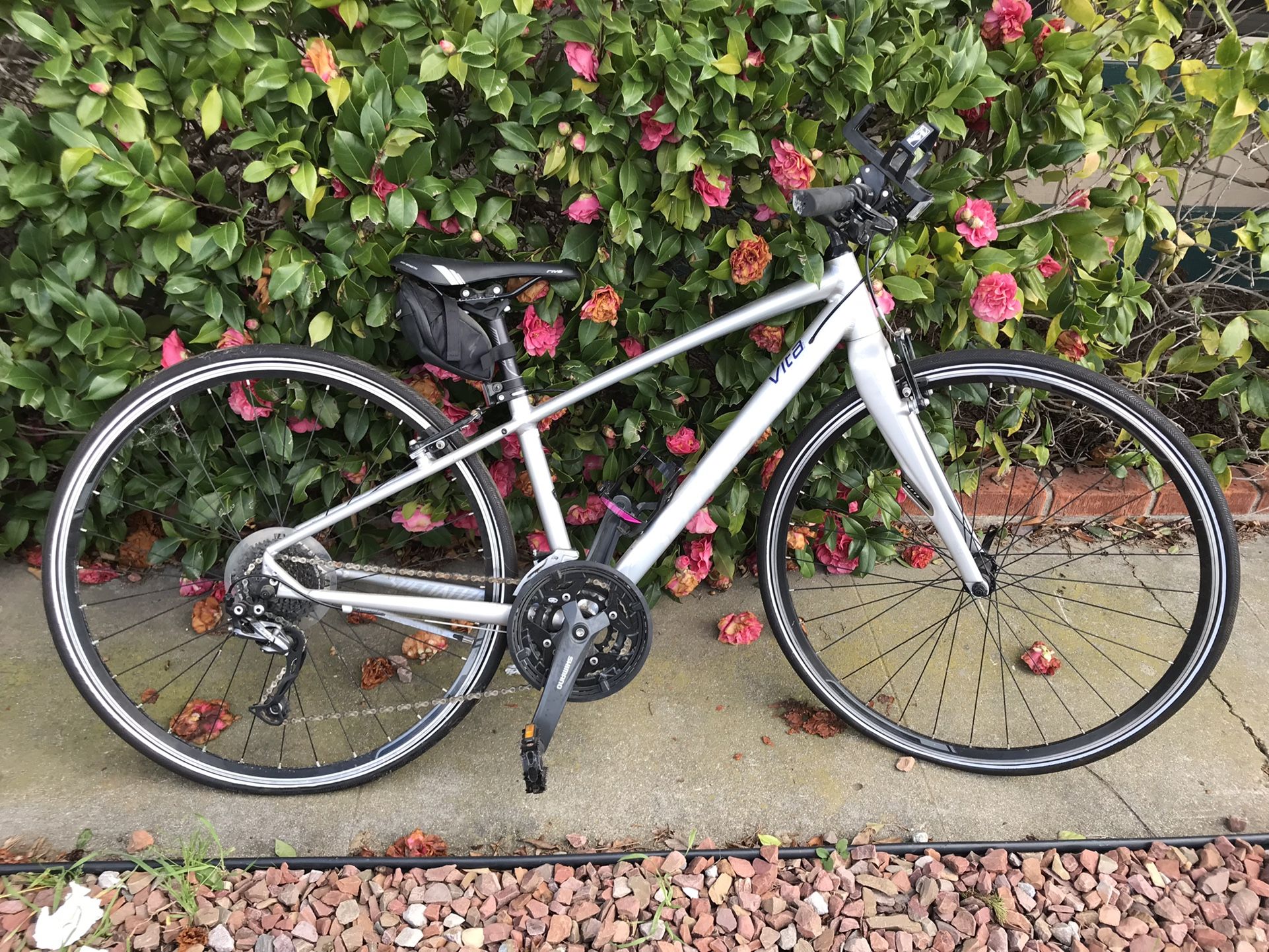 Specialized Vita Bike XLNT