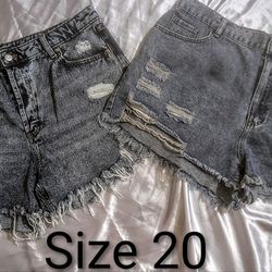 Women's Size 20 Shorts Bundle
