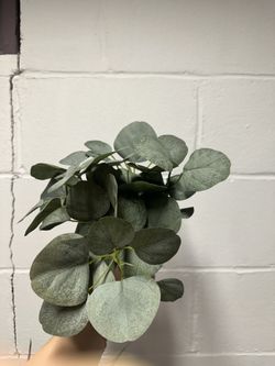Fake plant