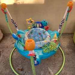 Baby Einstein Activity Jumper Bouncer